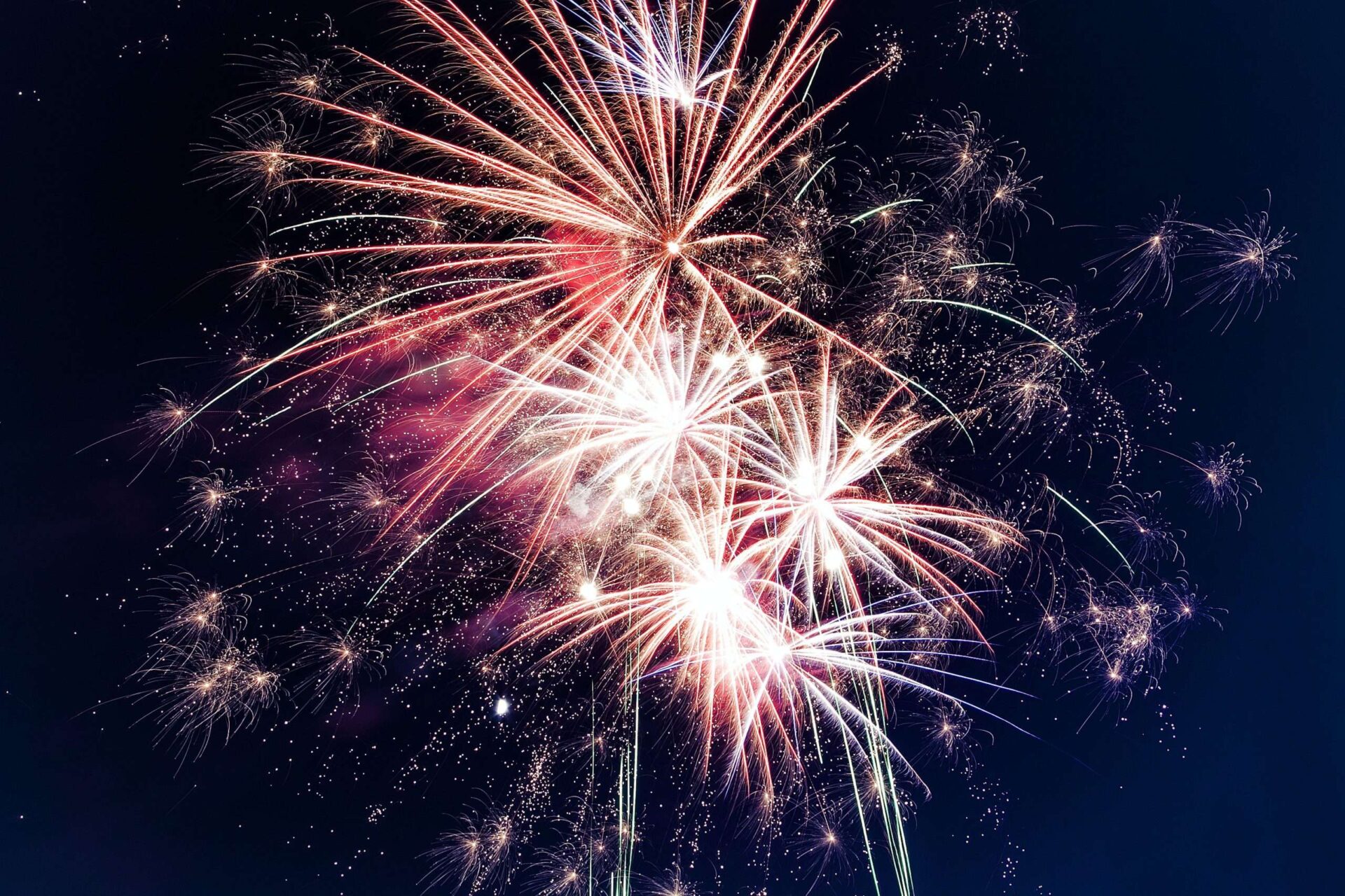 Colourful fireworks exploding in the night sky