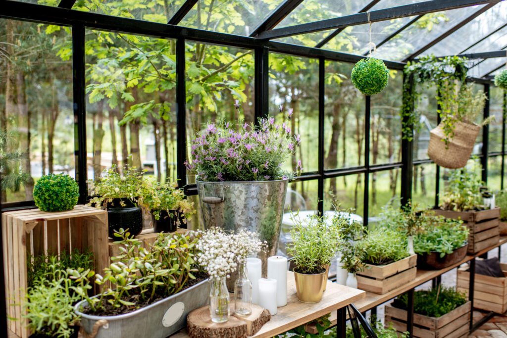 Herbs and plants growing in a greenhouse in several different shapes pots