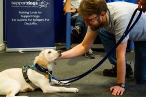 Solutions employee Adam Brailsford with a dog from the charity SupportDogs