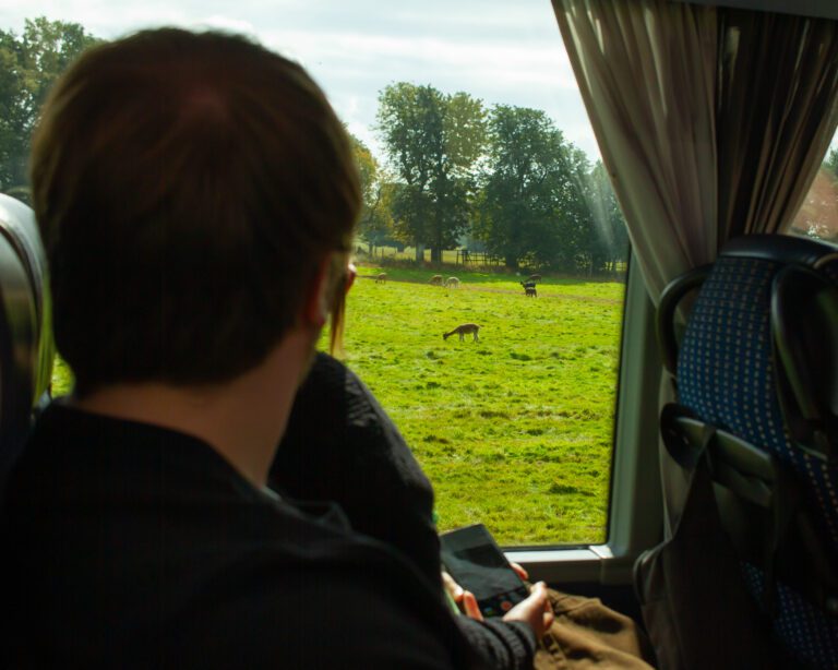 View of a safari tour from inside a safari tour bus