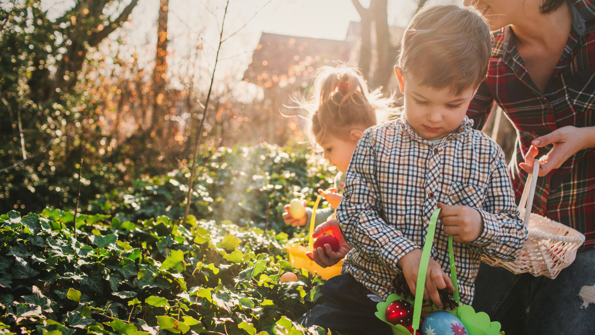 A young boy in a chequered and buttoned shirt collects Easter eggs in a basket in a grassy and bushy outdoors area.