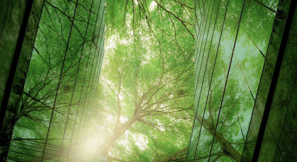 A glass office building reflects green-tinted light from its natural surroundings, such as large, leafy trees.