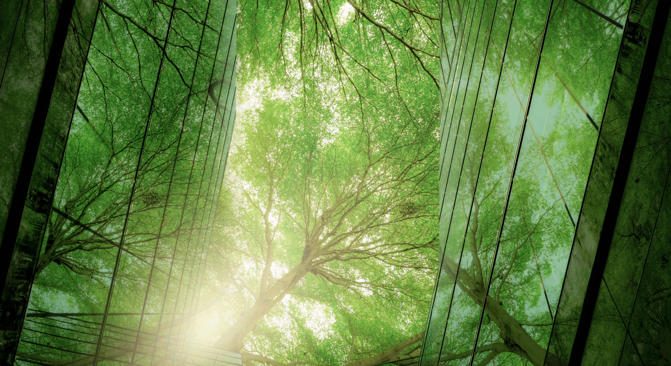 A glass office building reflects green-tinted light from its natural surroundings, such as large, leafy trees.