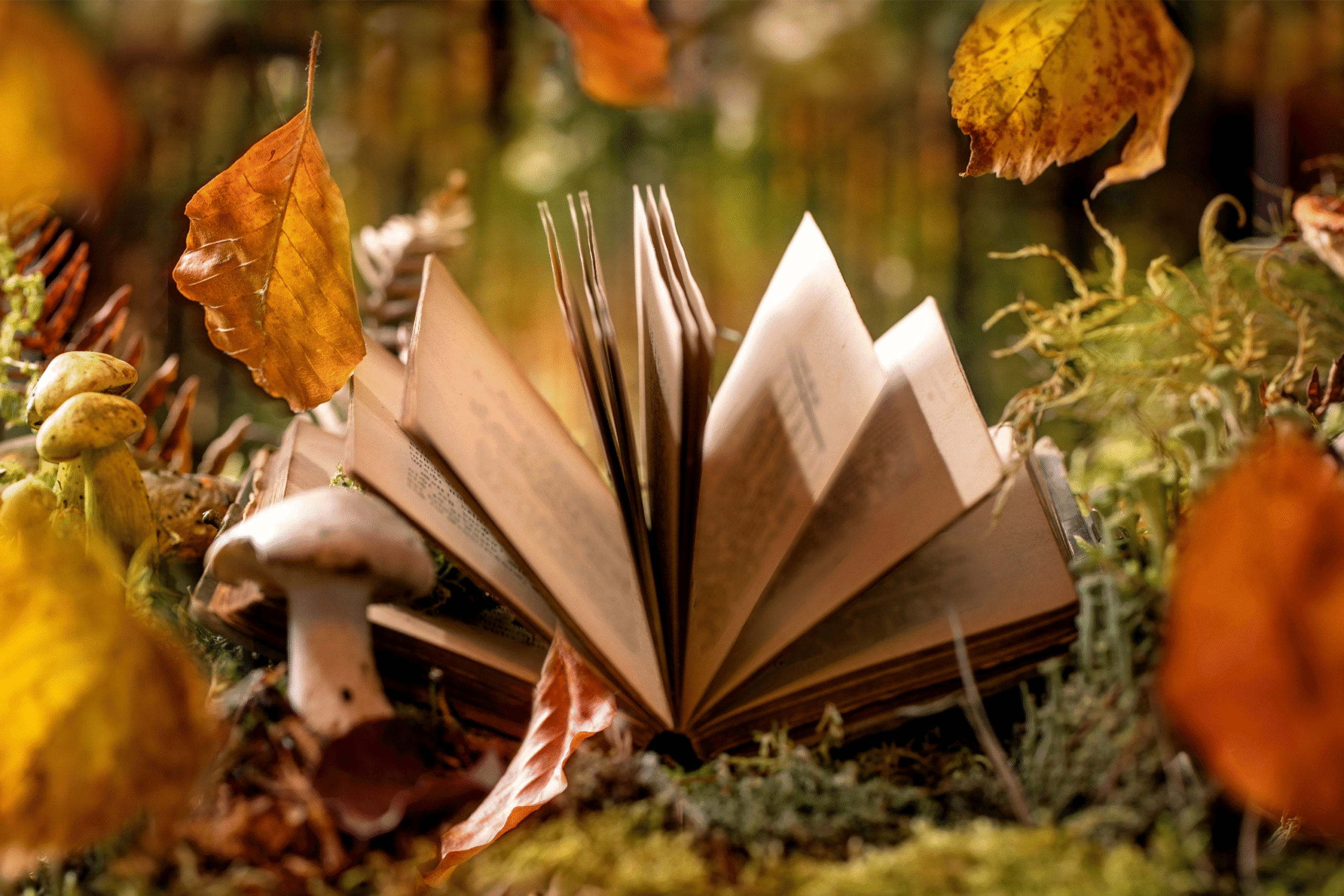 A book lies open on a forest floor covered in moss and mushrooms