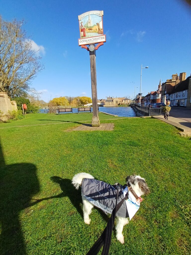 Sign of Godmanchester on a bright day taken by someone walking their dog
